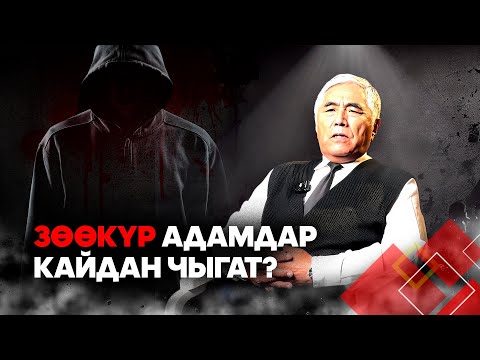 Видео: Зөөкүр адамдар кайдан чыгат? // Атайын репортаж