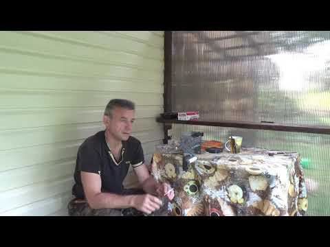 Видео: Сорт табака Собольческий 15