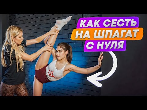 Видео: Как сесть НА ШПАГАТ С НУЛЯ? ТОП 3 упражнения для поперечного шпагата!