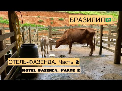 Видео: Бразилия. Отель-фазенда. Часть 2