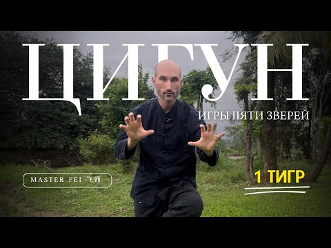 Видео: ТИГР - ЦИГУН - ИГРЫ ПЯТИ ЗВЕРЕЙ
