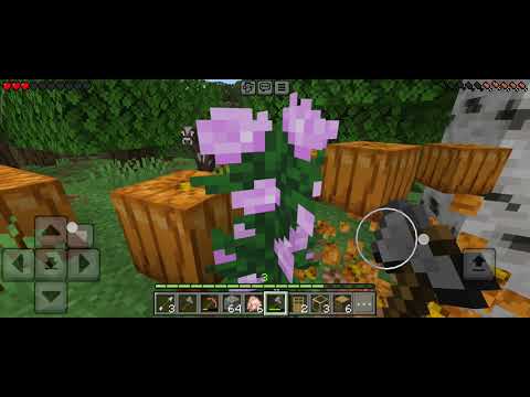 Видео: Играю в Маенкрафт ♡ мой 2 акк:: @Looni_minekraft 