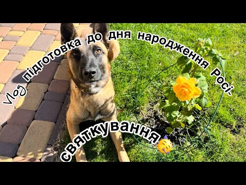 Видео: Vlog підготовка до дня народження Росі-святкування (виповнився 1 рік)