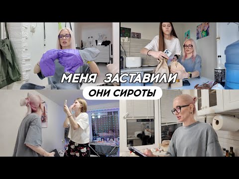 Видео:  Они сироты - меня заставили. Разобрала вещи собак. Кира меня обвинила. Отвечаю на комментарии.  