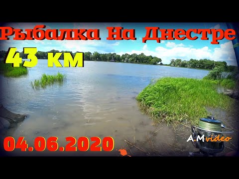 Видео: 04.06.2020. Рыбалка на Реке Днестр 43 км.