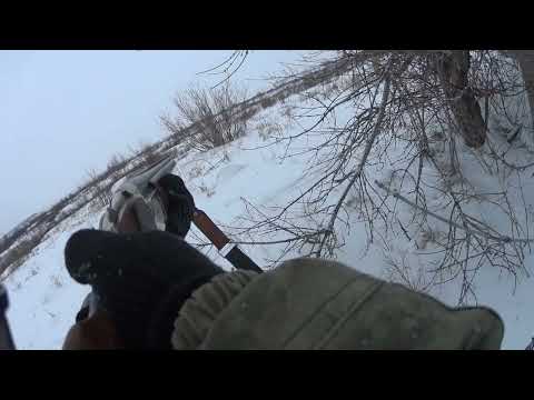 Видео: Охота на зайца первая часть. Сезон 2023-2024 №187
