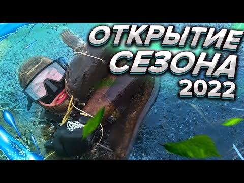 Видео: ПОДВОДНАЯ ОХОТА. ВЕСЕННИЕ ОТКРЫТИЕ. В САРАТОВСКОЙ ОБЛ.