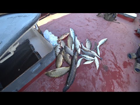 Видео: Балхаш балық аулау. Рыбалка Балхаш 2022. Рыбалка Казахстан 2022. Рыбалка Астана 2022