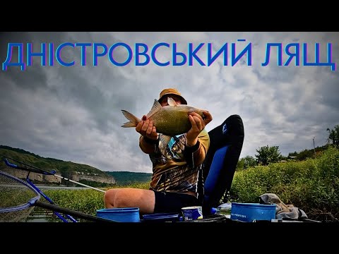 Видео: Дністровський ЛЯЩ!!! Риболовля на р. Дністер. Як зловити ляща на р. Дністер?