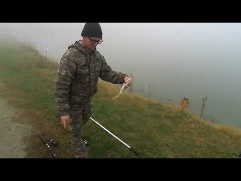 Видео: Рыболовецкое озеро