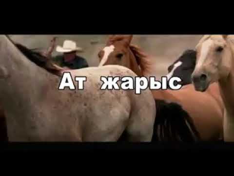 Видео: Мұқыр ауылы.Ат жарыс