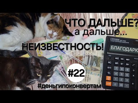 Видео: Система денежных конвертов✉️/Распределение с🐾бандой хвостатых🐾/ОДНА В ДЕРЕВНЕ👱🏼‍♀️