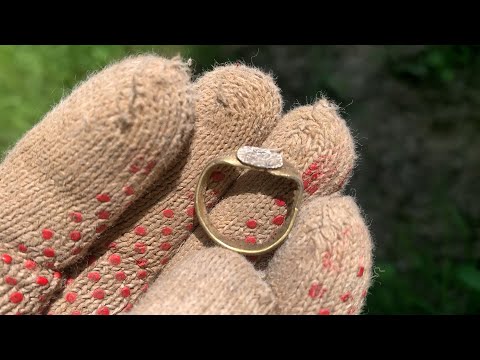 Видео: ЭТОТ ЛЕС ВЫДАЁТ ЗОЛОТЫЕ НАХОДКИ КОП 2025