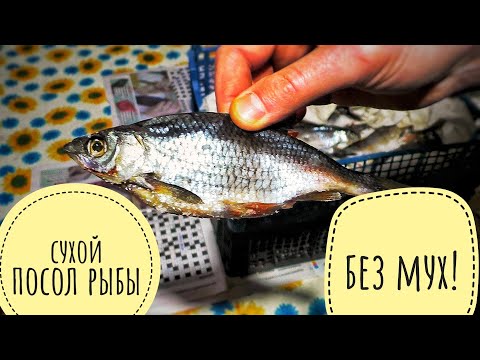 Видео: Сухой посол рыбы. Вкусная вяленая рыба без вывешивания.