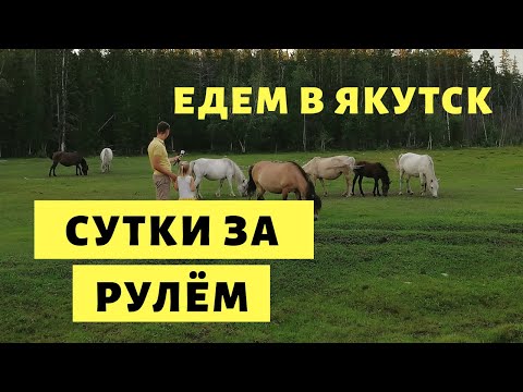 Видео: Сумасшедшее Путешествие в Якутск на Машине 🚀 Ч 2. Алдан-Якутск и Паром через р. Лена Нижний Бестях