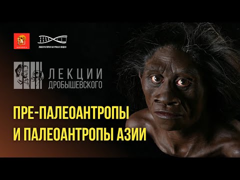 Видео: Лекции Дробышевского. Третье, четвёртое, пятое.... человечество. Препалеоантропы Азии