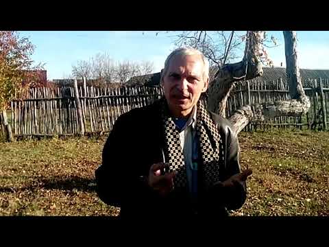 Видео: Как быстро увеличить пасеку