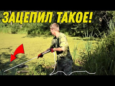 Видео: Не Зря КИНУЛИ МАГНИТ в Это Лесное БОЛОТО, Были УДИВЛЕНЫ НАХОДКАМ Скрывающимся Там!!!