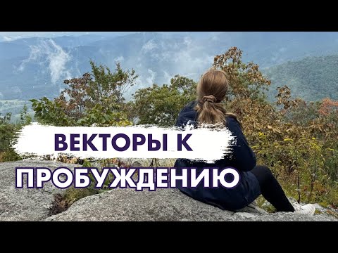 Видео: Векторы к пробуждению