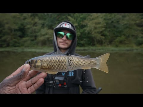 Видео: Я показал ему настоящую силу больших скользящих приманок без использования живого прицела! При уч...