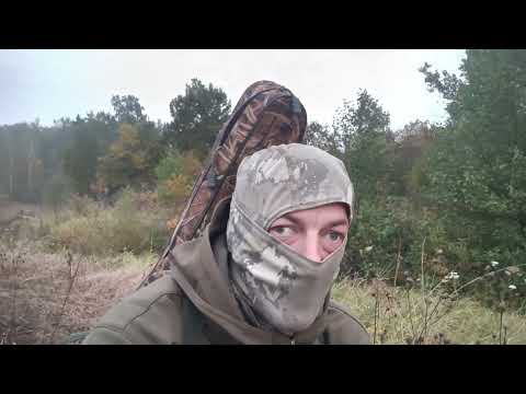 Видео: ОХОТА НА БОБРА. ХИТРЫЙ ДОБЫТ 22,560кг.#охота#охотанабобра#бобр#beaver#huntingbeaver#hunting#hunter