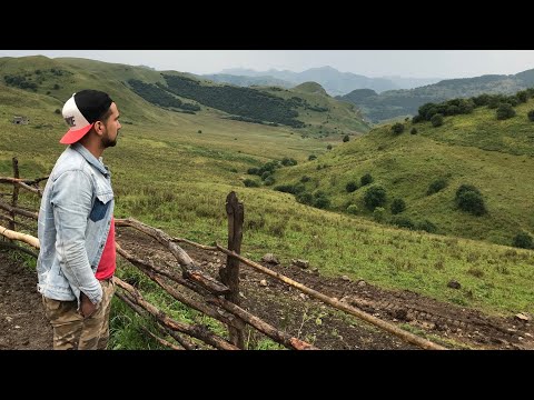 Видео: Хайбах