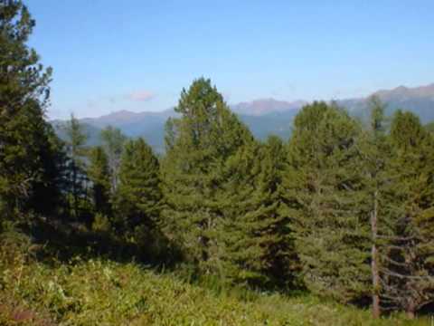 Видео: Иркутская история-2