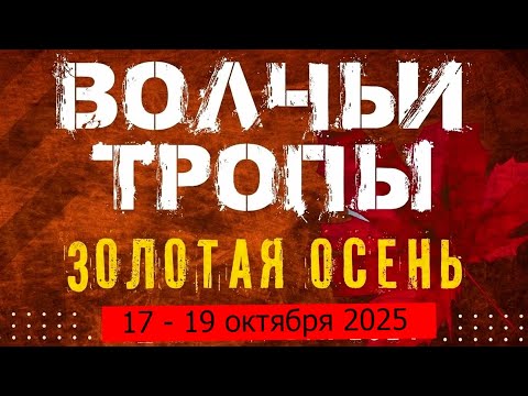 Видео: Волчьи тропы 2025