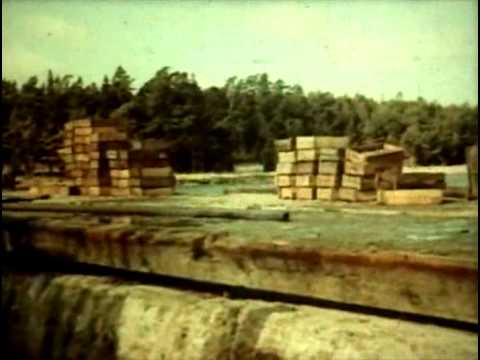 Видео: Фитиль, выпуск № 77 (1969) смотреть онлайн