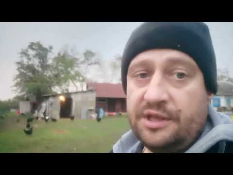 Видео: Второй день забоя бройлера, работа по хозяйству, затопил печь в старом доме.