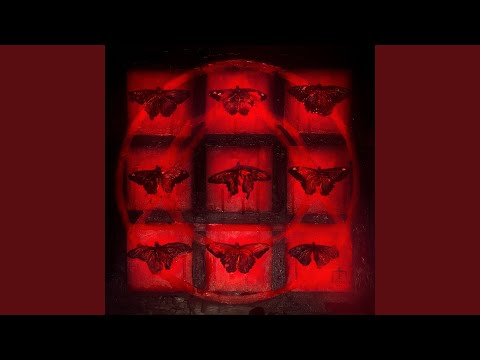 Видео: Туман