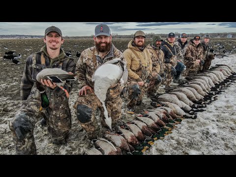 Видео: ЭПИЧЕСКАЯ охота за фрилансерскими комбо после разрешения Facebook!! (Greenhead Band и Stud Quill)