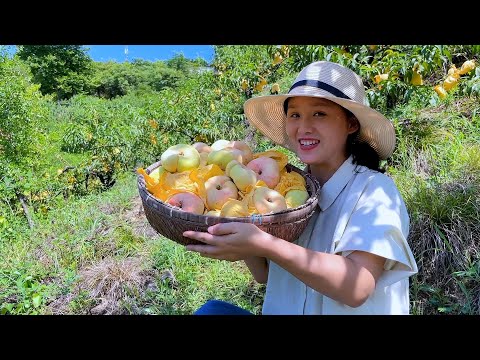 Видео: Такой вид персика выглядит слишком некрасиво, но на вкус он очень сладкий. Вы когда-нибудь ели это?