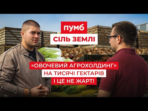 Видео: 🥒🥬Солоні огірки для бургерних і квашена капуста для Сільпо. Овочевий бізнес з Одещини