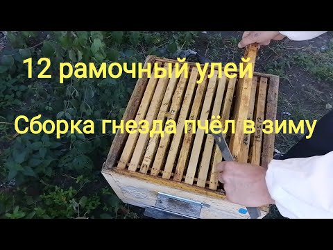 Видео: Простой и Легкий способ как собрать гнездо пчёл в зиму.