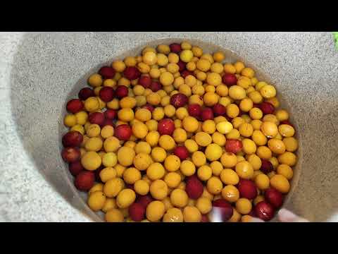 Видео: Джем из желтой алычи!!!