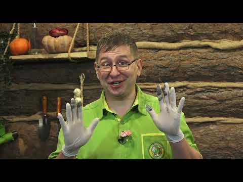 Видео: Консультант Cадовода на Усадьбе №"14