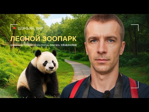 Видео: Лесной зоопарк Шэньяна 沈阳森林动物园. Связанные одной клеткой. Корми, молись, живи!