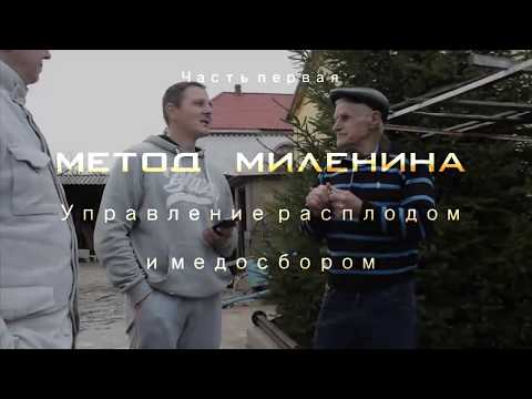 Видео: Метод Миленина Часть 1