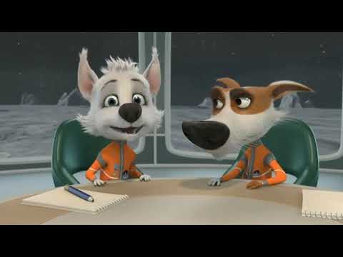 Видео: Белка Манежная: привязана к тебе