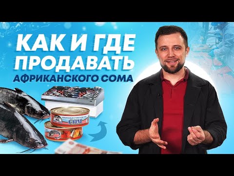 Видео: СБЫТ РЫБЫ в УЗВ - Как и Где продавать АФРИКАНСКОГО СОМА? Рыбоводный БИЗНЕС с НУЛЯ
