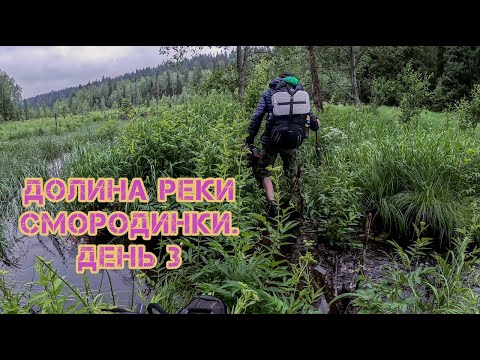 Видео: Долина реки Смородинки. Проходим вброд реку и продираемся лосиными тропами через болото | День 3
