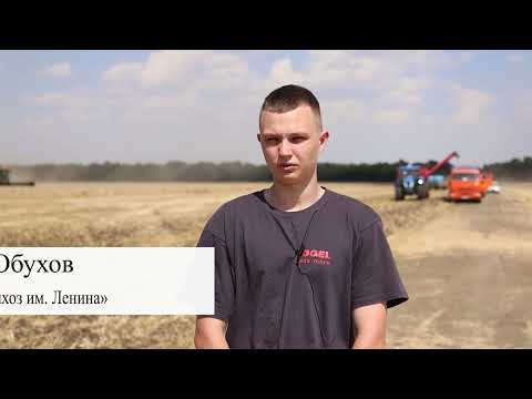 Видео: Уборка 2022 года/ Уборка пшеницы/ Уборка гороха/Уборка рапса/ Уборка свеклы/ Водители «Зерно-Ресурс»