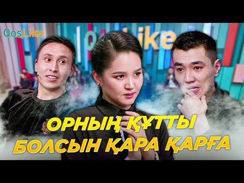 Видео: Орның құтты болсын қара қарға