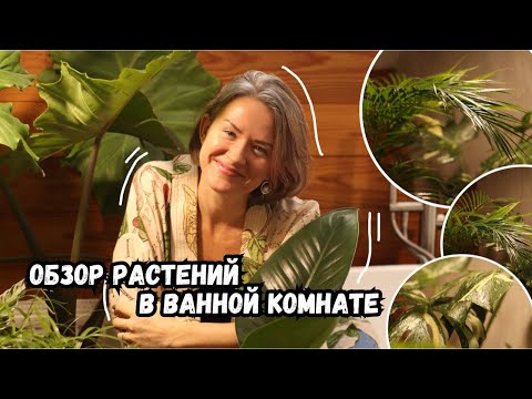 Видео: Обзор растений в ванной комнате