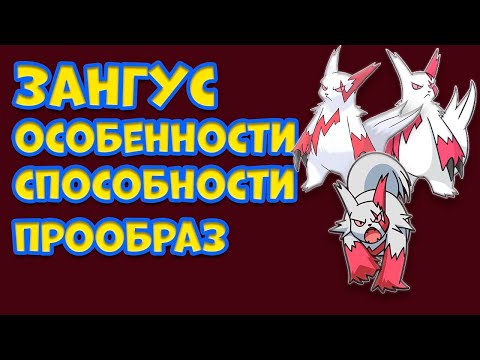 Видео: ПОКЕМОН ЗАНГУС. ОСОБЕННОСТИ, СПОСОБНОСТИ, ПРООБРАЗ