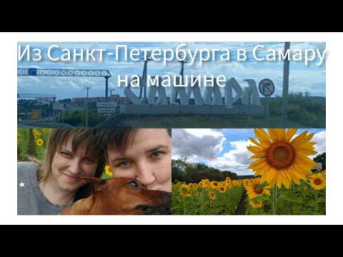 Видео: путешествие на машине из Санкт-Петербурга в Самару. | трасса М1 #лето2023
