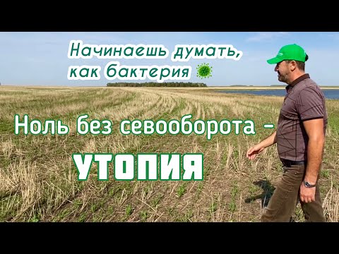 Видео: Ноль без обширного севооборота - утопия!