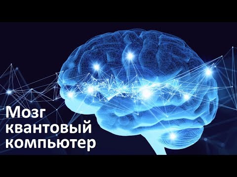 Видео: Гипотеза квантового сознания | Мозг квантовый компьютер