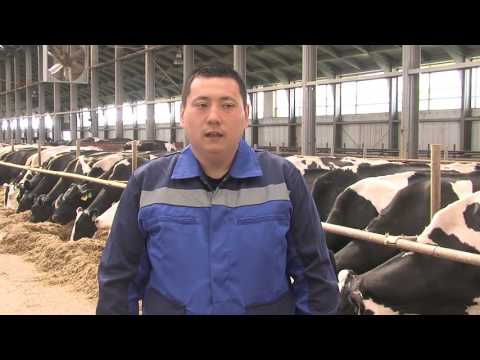 Видео: ТОО Лидер 2010